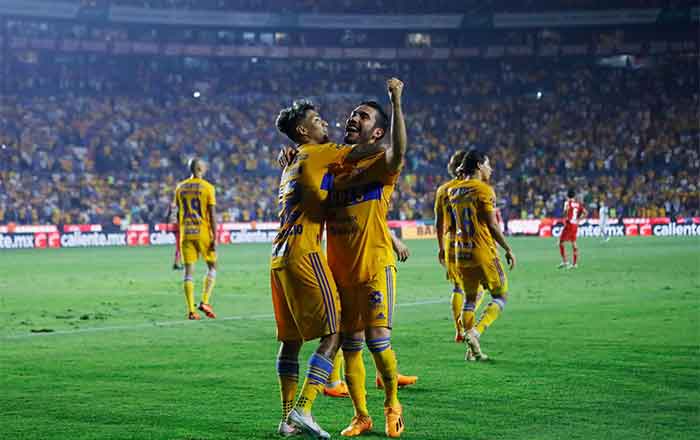 TIGRES-3