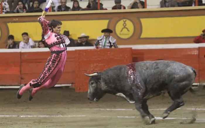 TOROS