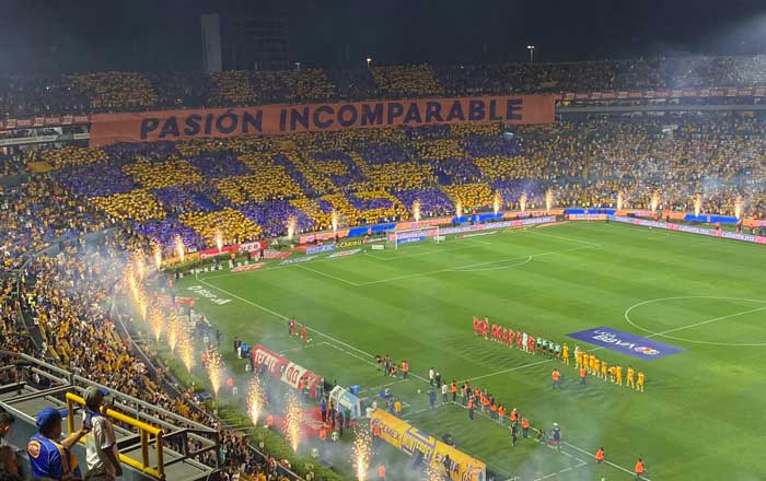 Piedra se desprende de las tribunas y lastima a aficionada de Tigres 2 tigres 5