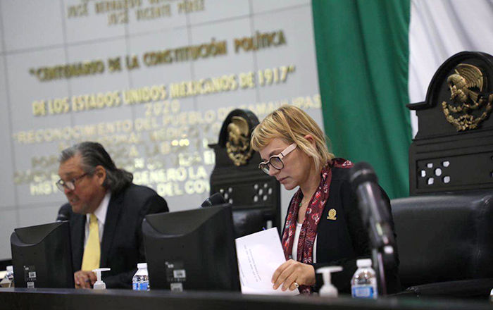 Piden a Irving Barrios dar trámite correcto a denuncias por violencia vicaria 1 348378211 597304782545302 729625607995528920 n