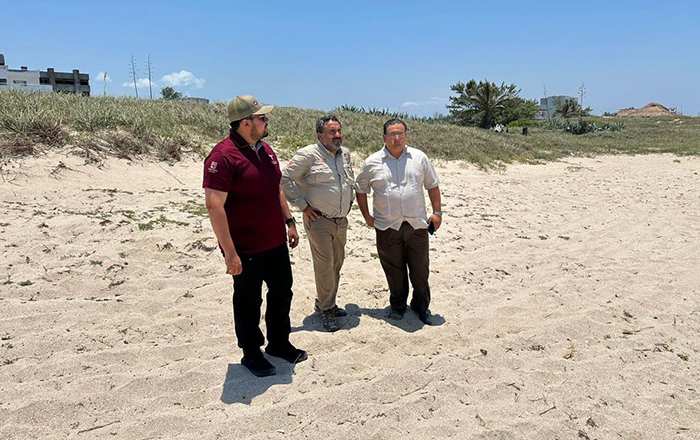 Federación da permisos a Tamaulipas para operar campamentos tortugueros 3 348968136 749109140244928 6850567708914546342 n