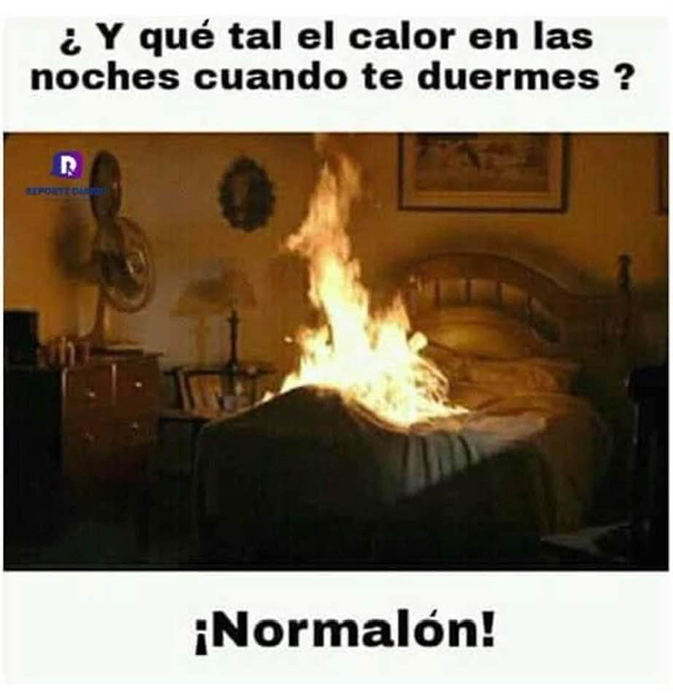 Memes sobre el calor ‘arden’ en redes 4 350091113 246067244703040 8424682927145860900 n