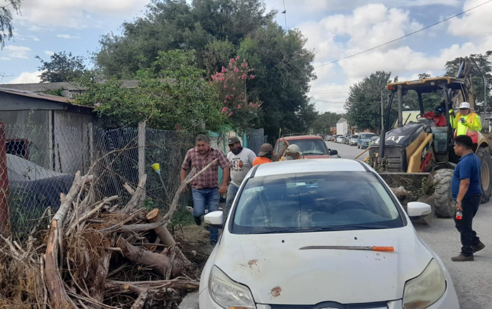 Continúan limpiando Nuevo Progreso 3 352885009 3410066612656215 5287675213786593239 n