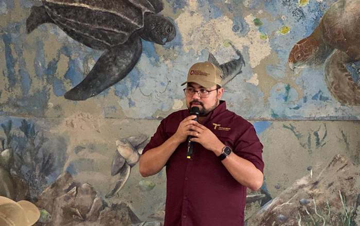 Tortuga lora emprende su viaje en costas de Tamaulipas 2 353007522 276033091620890 144587807596643756 n