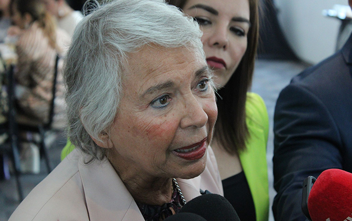 Muestra Sánchez Cordero apoyo a Sheinbaum 1 353558278 536635278524709 5023338008711684890 n