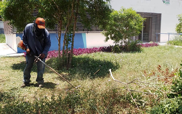 Rescatan áreas verdes en Río Bravo 1 353678395 196358953021294 5031888558610936110 n