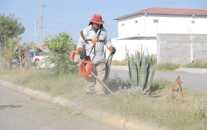 Realizan descacharrización en Nuevo Laredo 2 353788285 3746918202261196 5543396573354071025 n