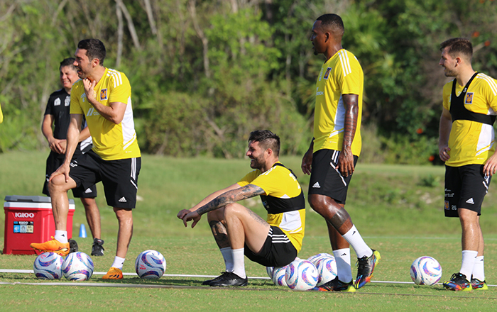 Sigue el entrenamiento felino en la Riviera Maya 1 355080907 149386678144080 2748725605806859462 n