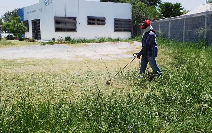 Rescatan áreas verdes en Río Bravo 2 355424650 1936915956687442 3918527750427266754 n