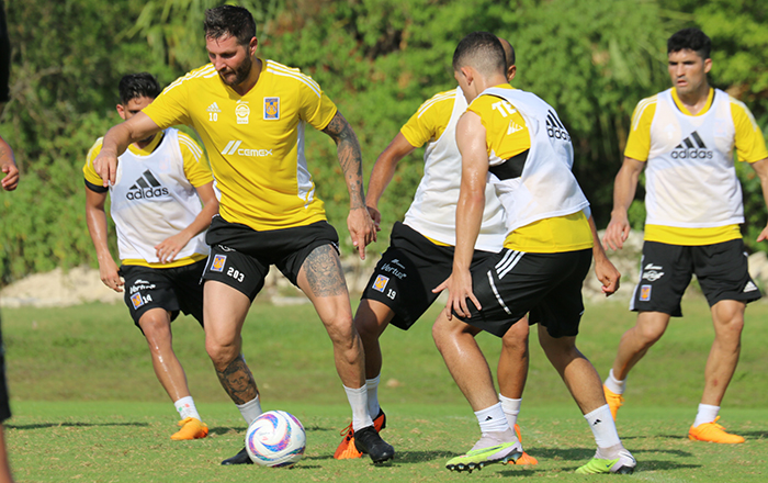 Sigue el entrenamiento felino en la Riviera Maya 2 355425517 240155972097008 7851013230947991638 n