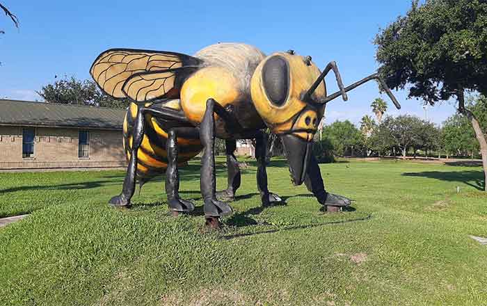 ABEJA-ASESINA