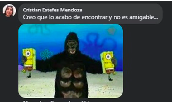 Del susto al meme: la reacción en redes por gorila suelto en Hidalgo 3 Captura de pantalla 2023 06 01 a las 11.53.30 a. m