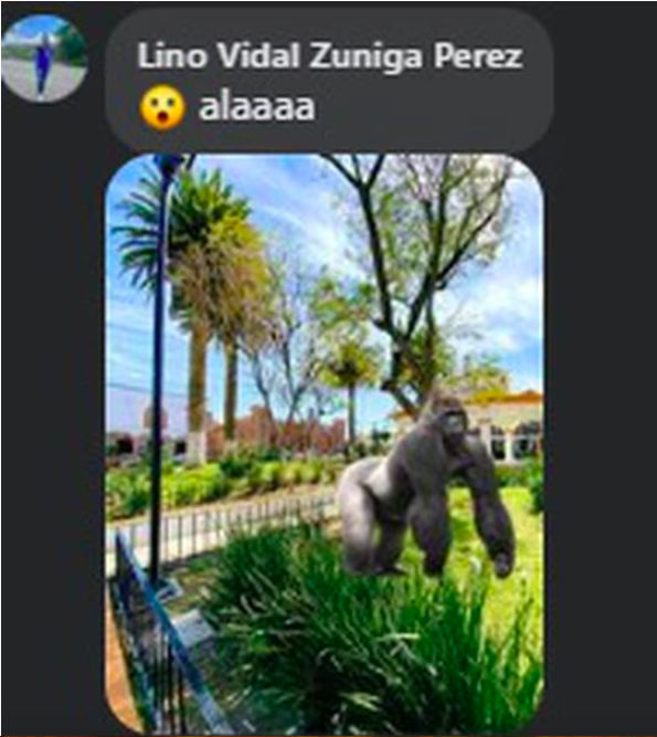 Del susto al meme: la reacción en redes por gorila suelto en Hidalgo 4 Captura de pantalla 2023 06 01 a las 11.53.44 a. m