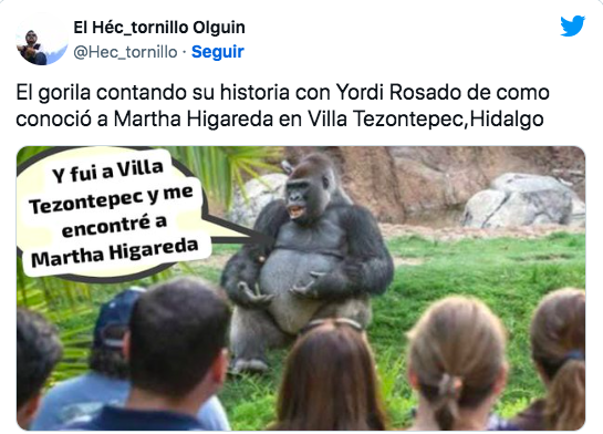 Del susto al meme: la reacción en redes por gorila suelto en Hidalgo 1 Captura de pantalla 2023 06 01 a las 11.54.35 a. m