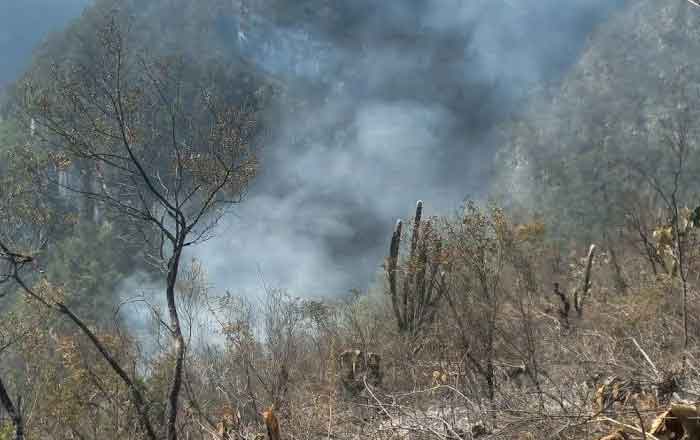 INCENDIO-3