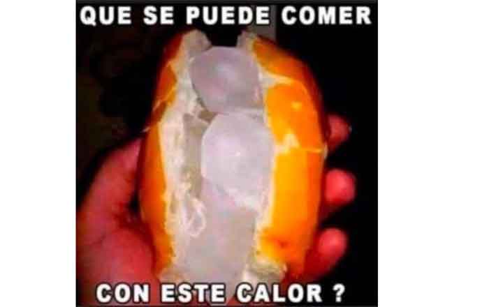 Ante el calor ¡llegan los memes! 10 MEME 1