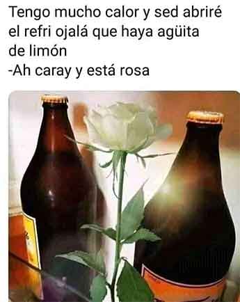 Ante el calor ¡llegan los memes! 3 MEME 8