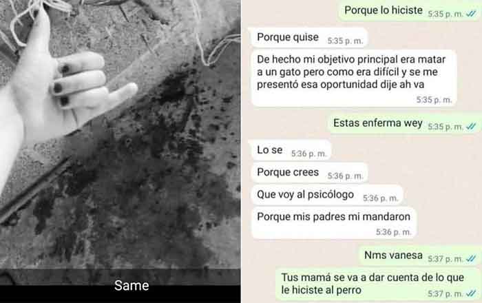 Estudiante de prepa mata con crueldad a cachorro en Puebla 1 PANTALLA
