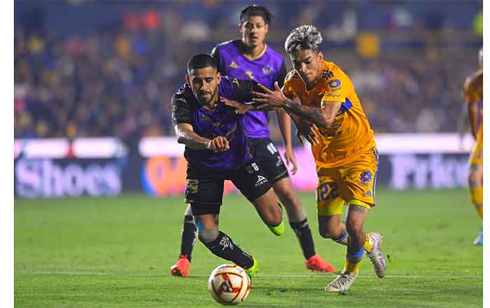 TIGRES