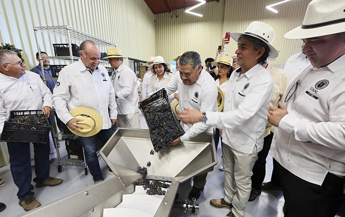 Producirá UANL vino 100% hecho en Nuevo León 2 356800869 996030578248096 4214206345213663609 n