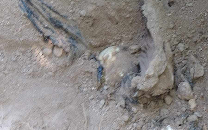 Colectivo de desaparecidos hace hallazgo de 22 víctimas 2 361598406 990994142099095 1869046566103775165 n