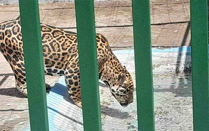 Clausuran parque en NL por maltrato animal 1 PARQUE 2