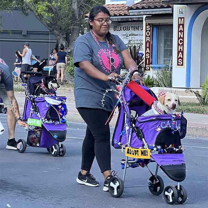 Participan mascotas en tradicional desfile del 4 de julio en McAllen 3 PERRO 4