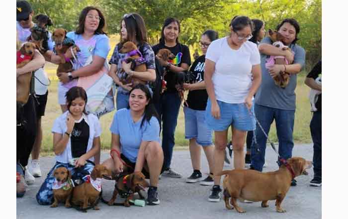 PERROS