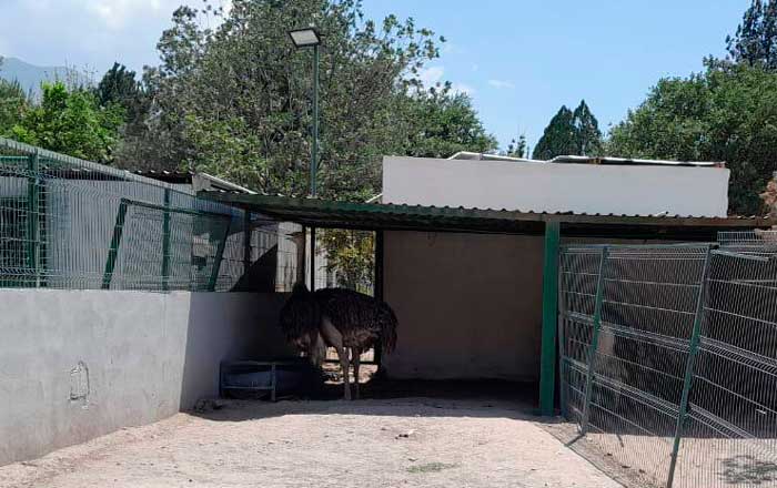 Secretaría de Medio Ambiente suspende sitio de exhibición de animales exóticos 2 ave