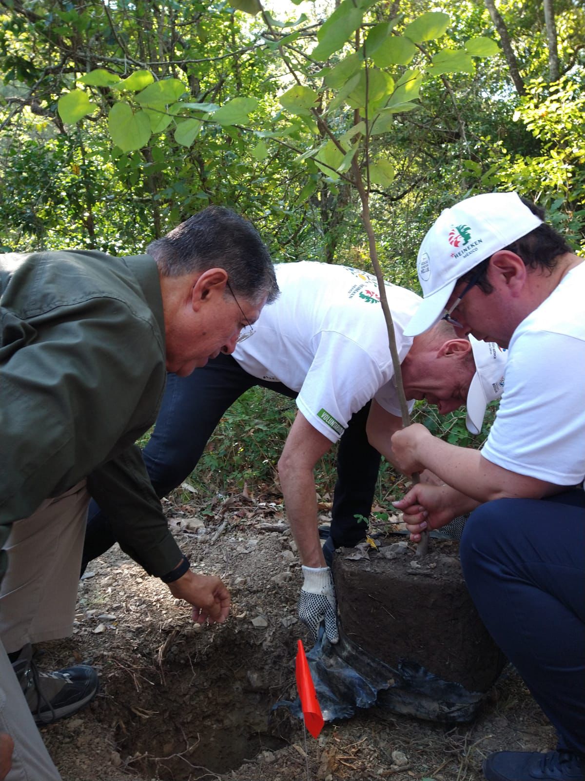 HEINEKEN México y Fundación Azteca en favor del medio ambiente en Monterrey 3 0787f4a7 777a 453f 8899 9e28e58686b3