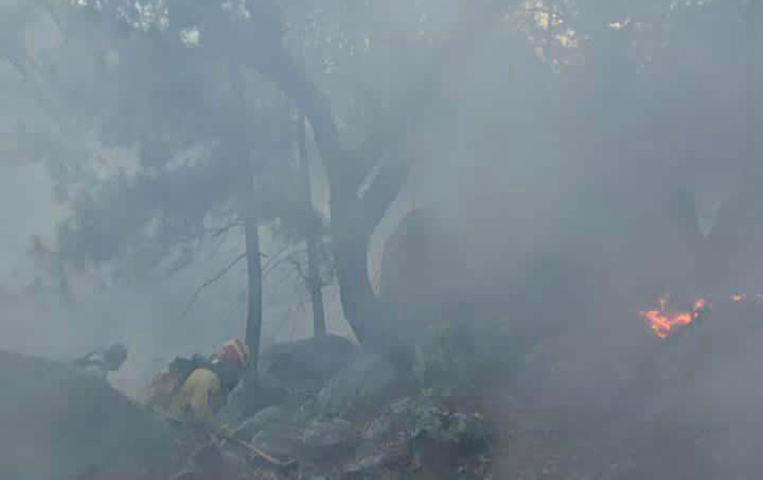 Protección Civil Tamaulipas y CONAFOR extinguen incendio forestal 2 359253835 241743692114926 6211289531170635652 n