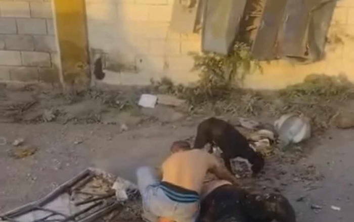 Camión sin frenos deja un muerto y tres heridos 2 363891606 314546041105375 518955104224220322 n