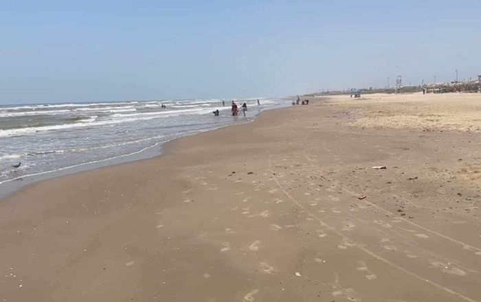 Afirma regidor que chapapote en playa Bagdad no afecta a fauna 1 364588428 600680928868363 6693727047564974556 n