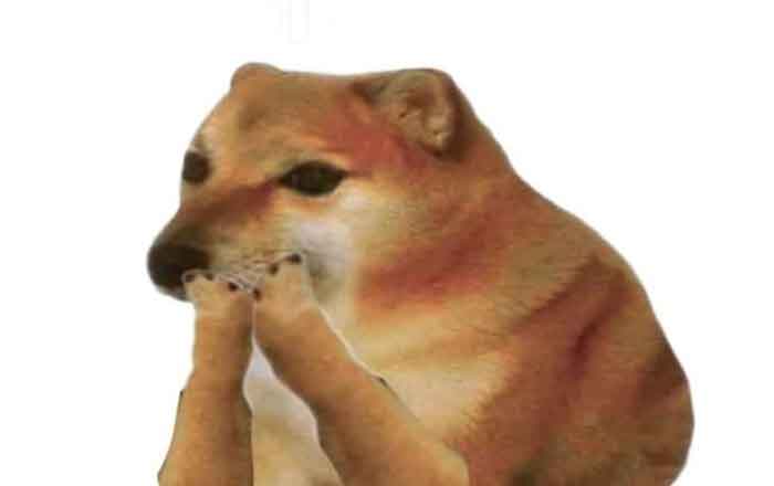 Muere 'Cheems', popular por memes en redes sociales 1 CHEEMS