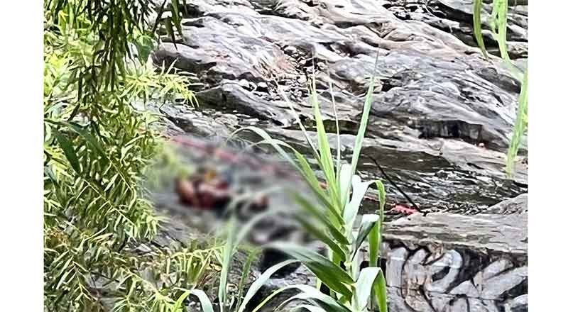 Encuentran a hombre sin vida en el Parque Canoas 2 CUERPO 1