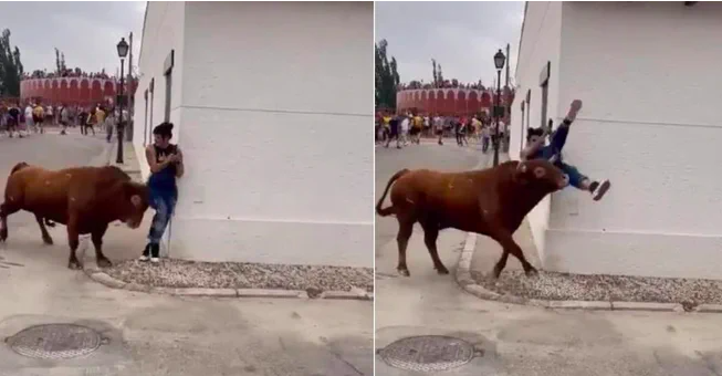Mujer recibe cornada de toro mientras ella veía su celular 2 Captura de pantalla 2023 08 30 a las 12.15.03 p. m