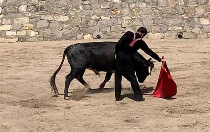 Eloy Cavazos celebra con amigos sus 74 1 ELOY CAVAZOS 2
