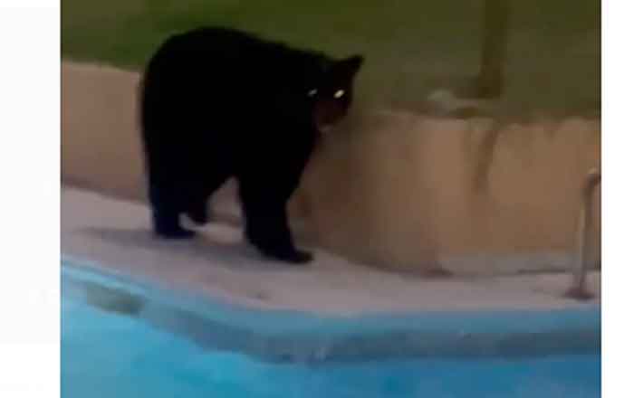 OSO