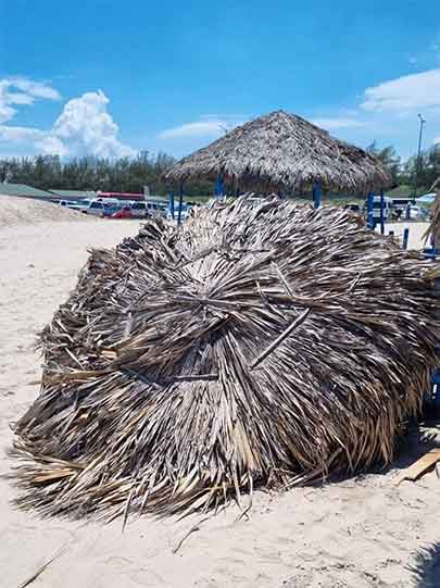 Mujer se niega a pagar por palapa en Miramar ¡y se la quitan! 2 PALAPA 3