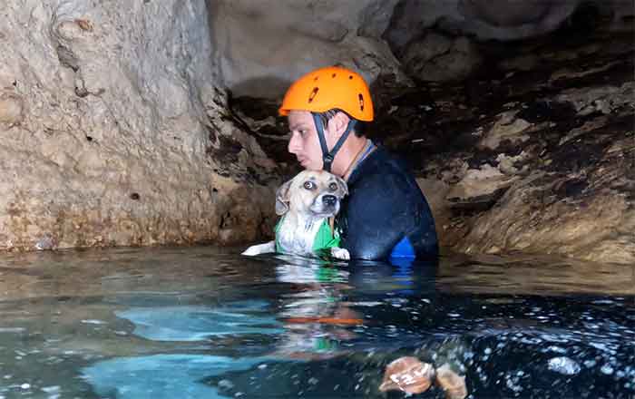 Buzos rescatan a 'Shakira', perrita atrapada en cenote 1 PERRITA 3
