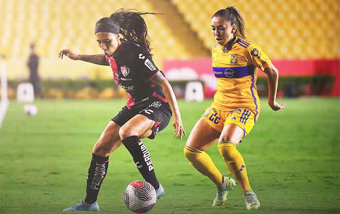 TIGRES-FEM