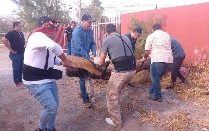 Más de un millón de alumnos regresan a clases en Nuevo León 3 er