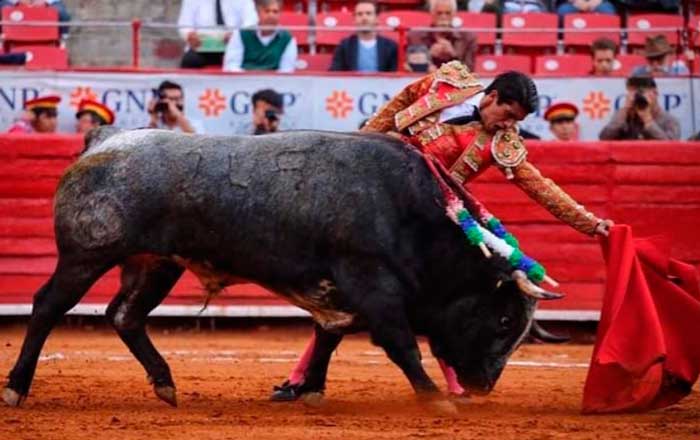 Viene 'Calita' con ilusión de triunfar 1 tor