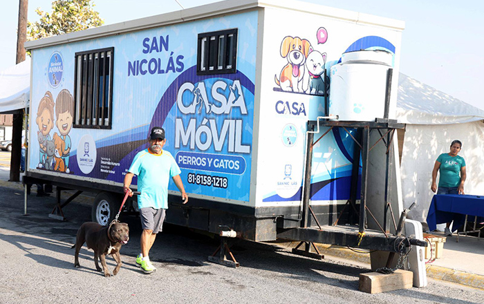 Busca San Nicolás vacunar alrededor de 4 mil michis y lomitos 3 380844546 1467462907374228 5298444633166537831 n