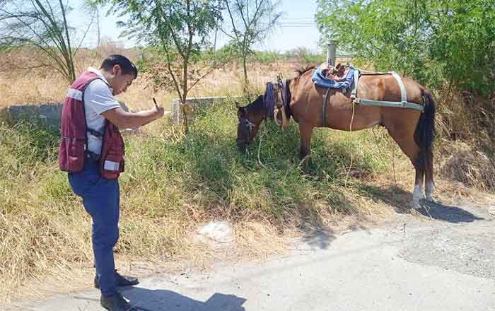 Revisiones y notificaciones, sólo personal autorizado: Carlos Peña 1 INSPECTORES 2