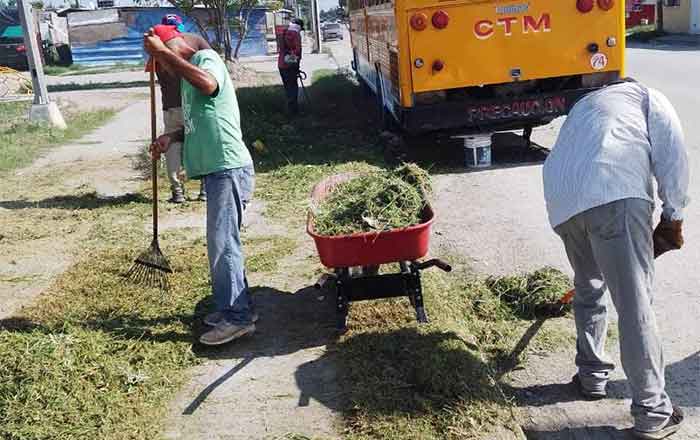 Dan manteniendo a áreas verdes de Río Bravo 1 RIO BRAVO 2 2