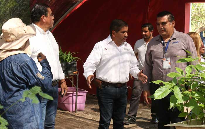 Contribuye Iniciativa Privada a reforestación de Tamaulipas 2 lai