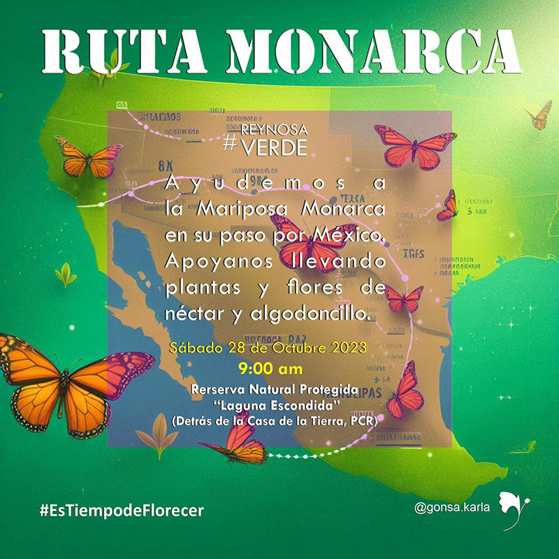 Participará Reynosa en la “Ruta Monarca” 1 368105629 1278535226022223 4427013383312982014 n