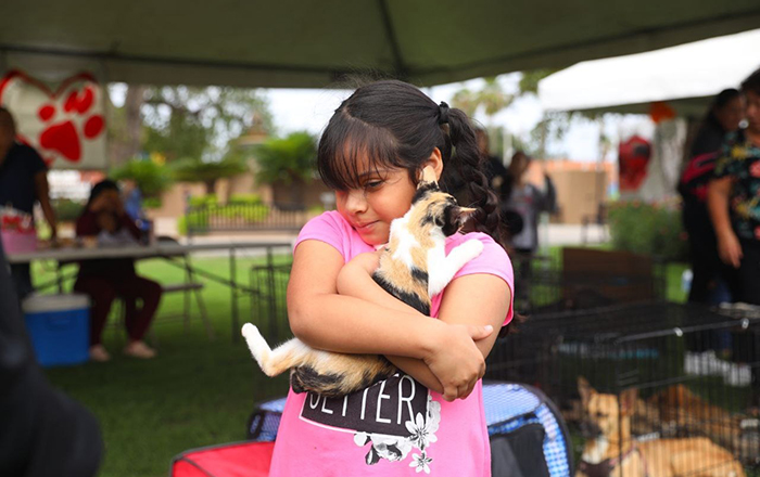 Mascotas en Nuevo Laredo buscan un hogar 1 393262091 1742489619533483 7691653276788456742 n