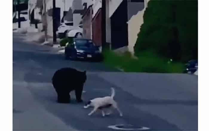 OSO